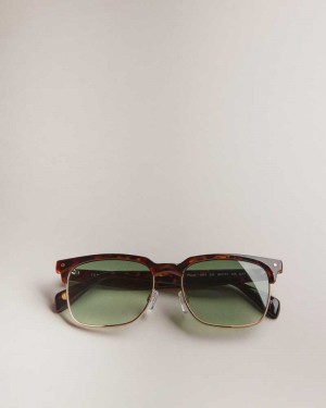 Dark Brown Ted Baker Ffloyd Tortoiseshell Clubmaster Sunglasses | ZA0002122