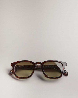 Dark Brown Ted Baker Ottiis Classic Framed Sunglasses | ZA0002114