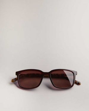 Dark Red Ted Baker Farlei Classic Tortoiseshell Frame Sunglasses | ZA0002139