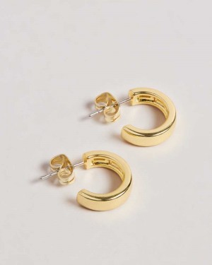 Gold Colour Ted Baker Helanna Small Hoop Earrings | ZA0001965