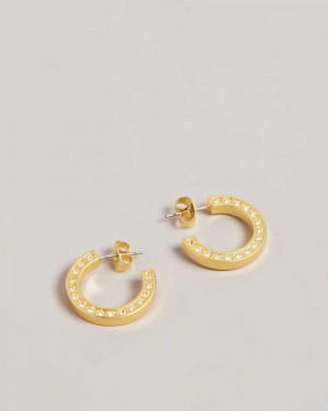 Gold Colour Ted Baker Senatta Crystal Hoop Earrings | ZA0001955