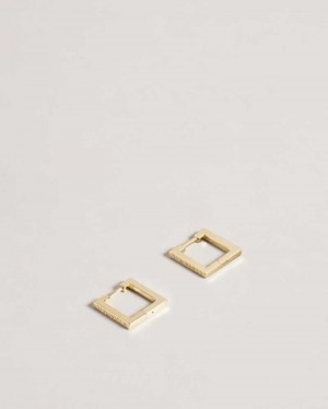 Gold Colour Ted Baker Senrii Small Square Hinge Earrings | ZA0001960