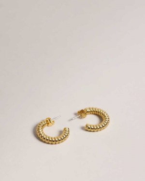 Gold Colour Ted Baker Tottie Twisted Hoop Earrings | ZA0001980