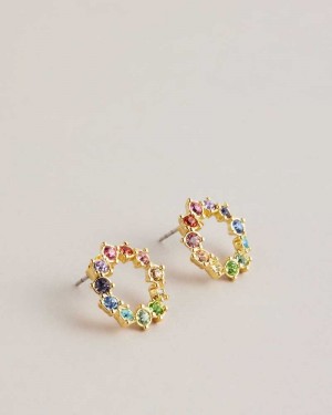 Multicoloured Ted Baker Cresina Crystal Hoop Stud Earrings | ZA0001946