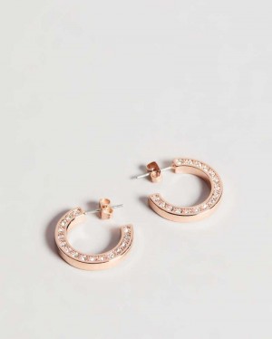 Rose Gold Colour Ted Baker Senatta Crystal Hoop Earrings | ZA0001923