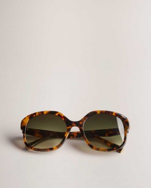 Tortoiseshell Ted Baker Eeloise Square Tortoiseshell Sunglasses | ZA0002126