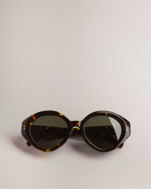 Tortoiseshell Ted Baker Zaadiey Chunky Circle Frame Sunglasses | ZA0002137