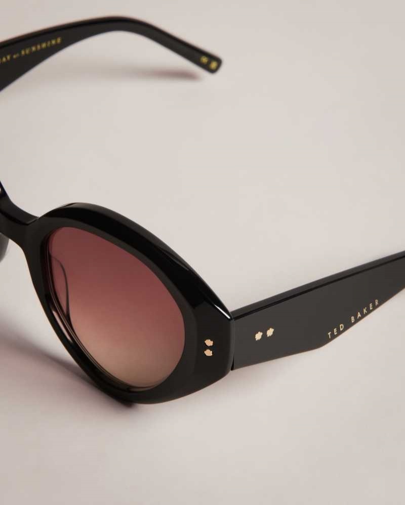 Black Ted Baker Zaadie Chunky Circle Frame Sunglasses | ZA0002115