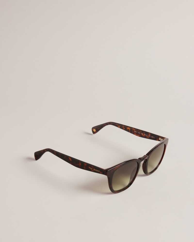 Dark Brown Ted Baker Ottiis Classic Framed Sunglasses | ZA0002114