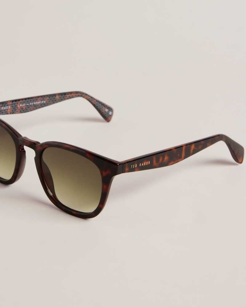 Dark Brown Ted Baker Ottiis Classic Framed Sunglasses | ZA0002114