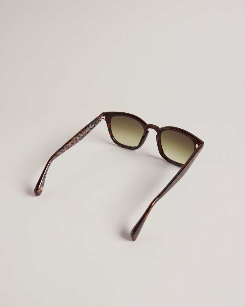 Dark Brown Ted Baker Ottiis Classic Framed Sunglasses | ZA0002114