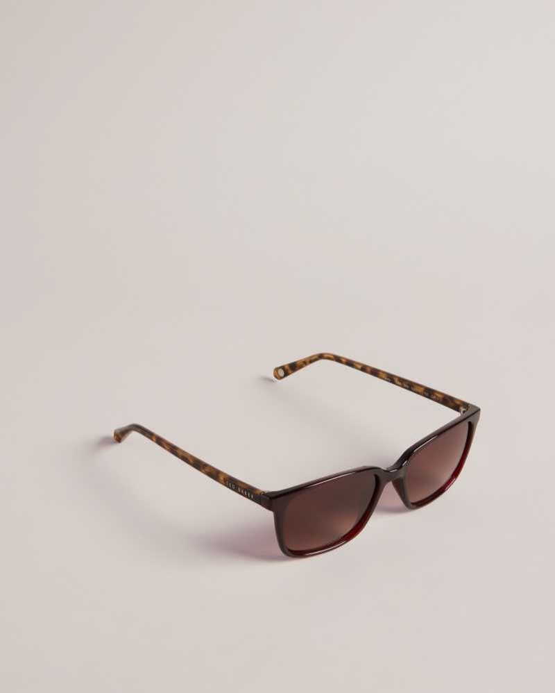 Dark Red Ted Baker Farlei Classic Tortoiseshell Frame Sunglasses | ZA0002139