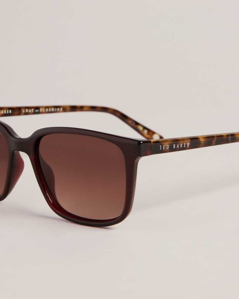 Dark Red Ted Baker Farlei Classic Tortoiseshell Frame Sunglasses | ZA0002139