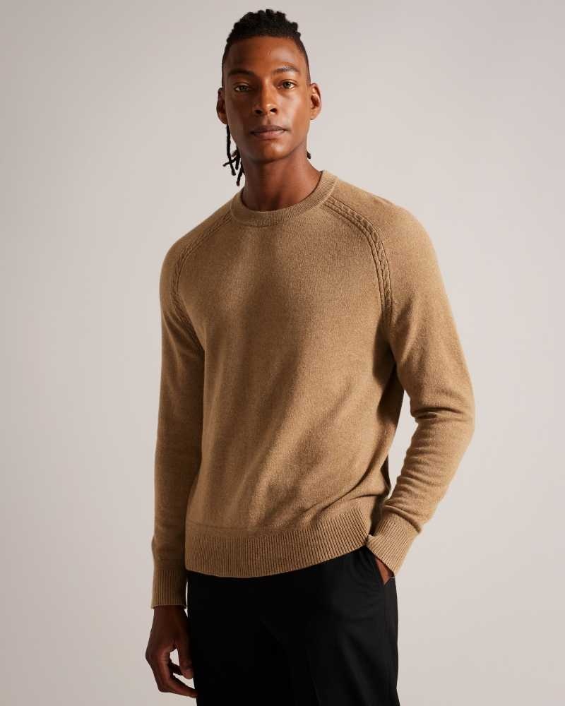 Dark Tan Ted Baker Glant Pure Cashmere Jumper | ZA0000756