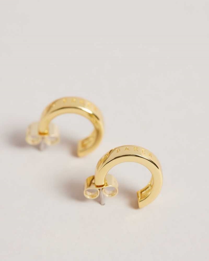 Gold Colour Ted Baker Helanna Small Hoop Earrings | ZA0001965