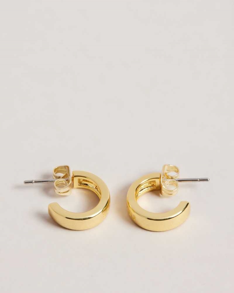 Gold Colour Ted Baker Helanna Small Hoop Earrings | ZA0001965