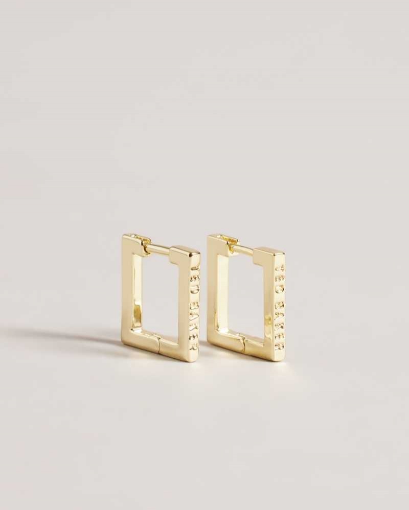 Gold Colour Ted Baker Senrii Small Square Hinge Earrings | ZA0001960