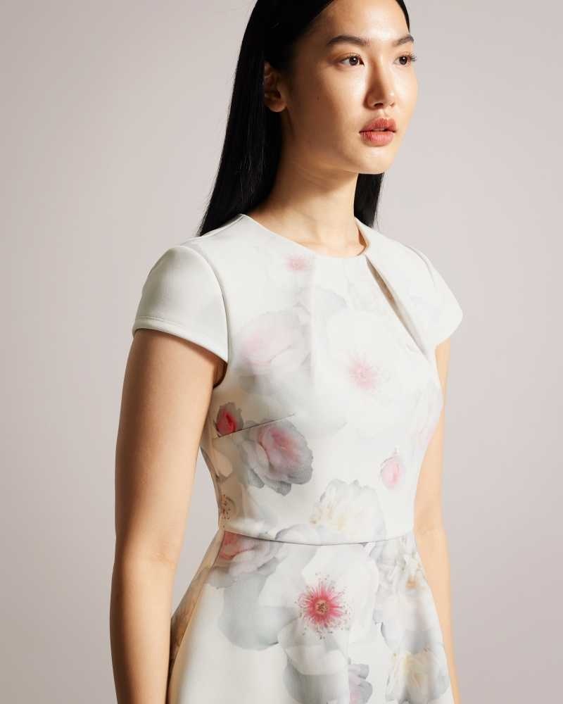 Natural Ted Baker Trinia Floral Print Skater Dress | ZA0000156