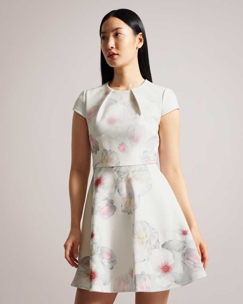 Natural Ted Baker Trinia Floral Print Skater Dress | ZA0000156