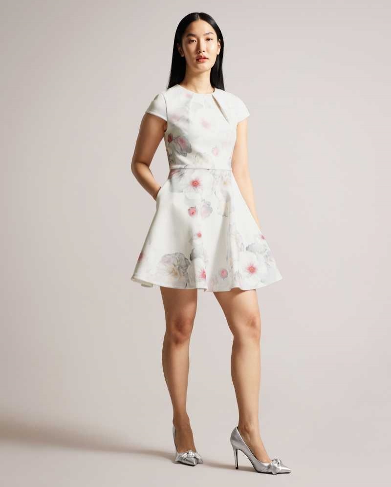 Natural Ted Baker Trinia Floral Print Skater Dress | ZA0000156