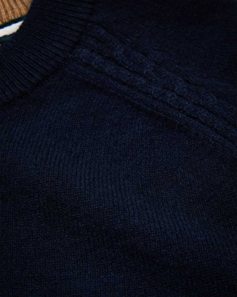 Navy Ted Baker Glant Pure Cashmere Jumper | ZA0000701