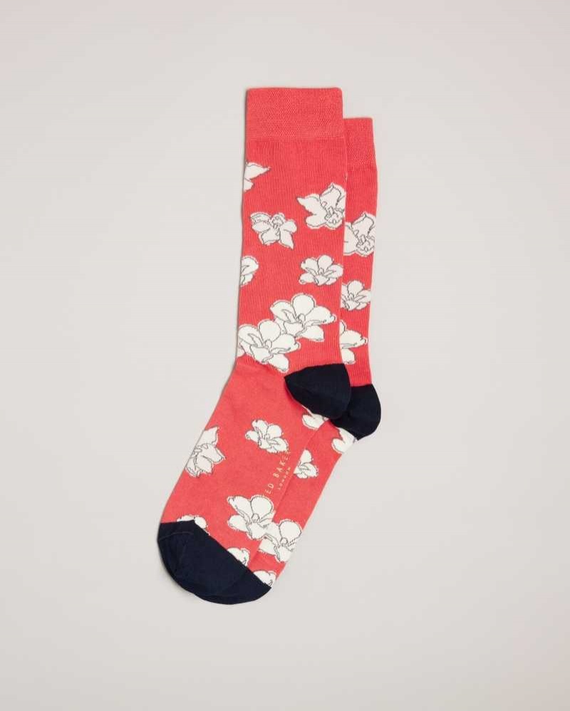 Orange Ted Baker Britesk Bright Floral Socks | ZA0002052