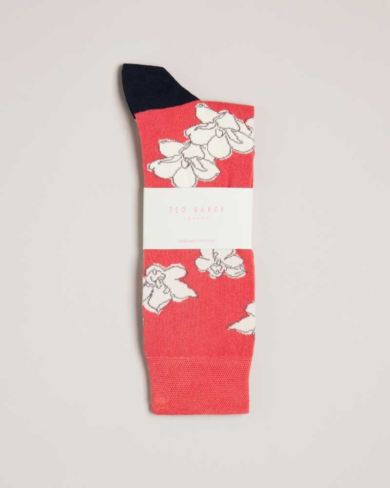 Orange Ted Baker Britesk Bright Floral Socks | ZA0002052