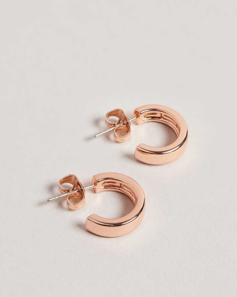 Rose Gold Colour Ted Baker Helanna Small Hoop Earrings | ZA0001958