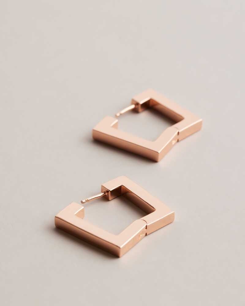 Rose Gold Colour Ted Baker Saadiey Large Square Hinge Earrings | ZA0001966