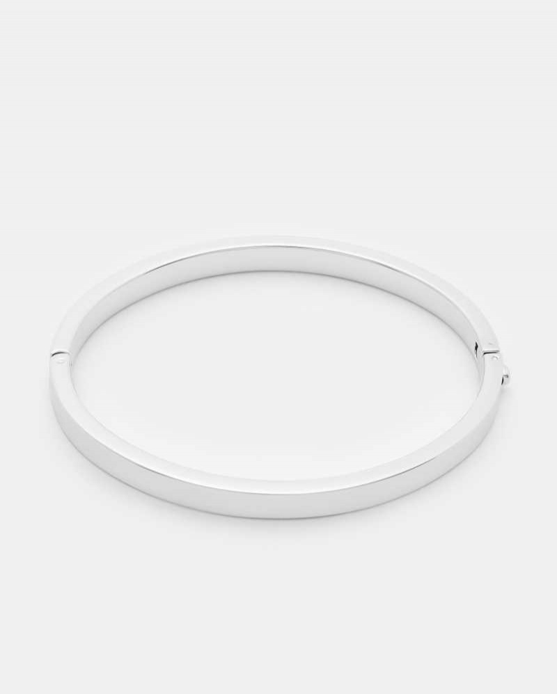 Silver Colour Ted Baker Clemina Hinged Bangle | ZA0001871