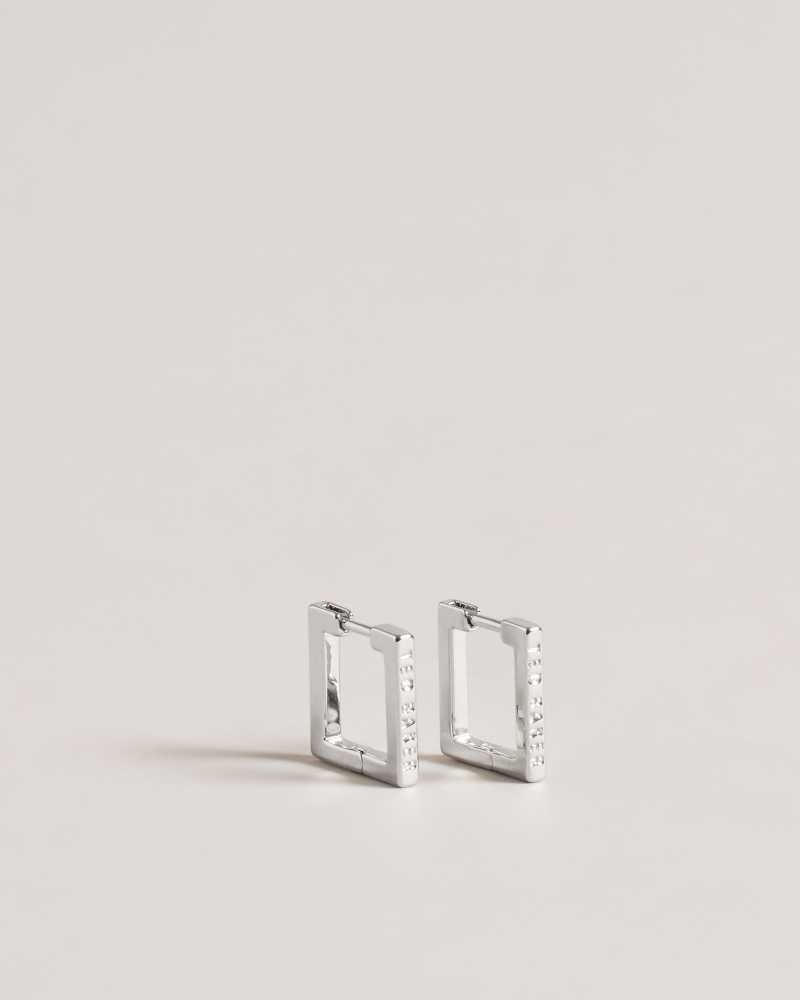 Silver Colour Ted Baker Senrii Small Square Hinge Earrings | ZA0001914