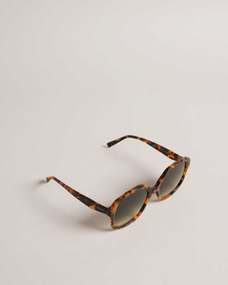 Tortoiseshell Ted Baker Eeloise Square Tortoiseshell Sunglasses | ZA0002126