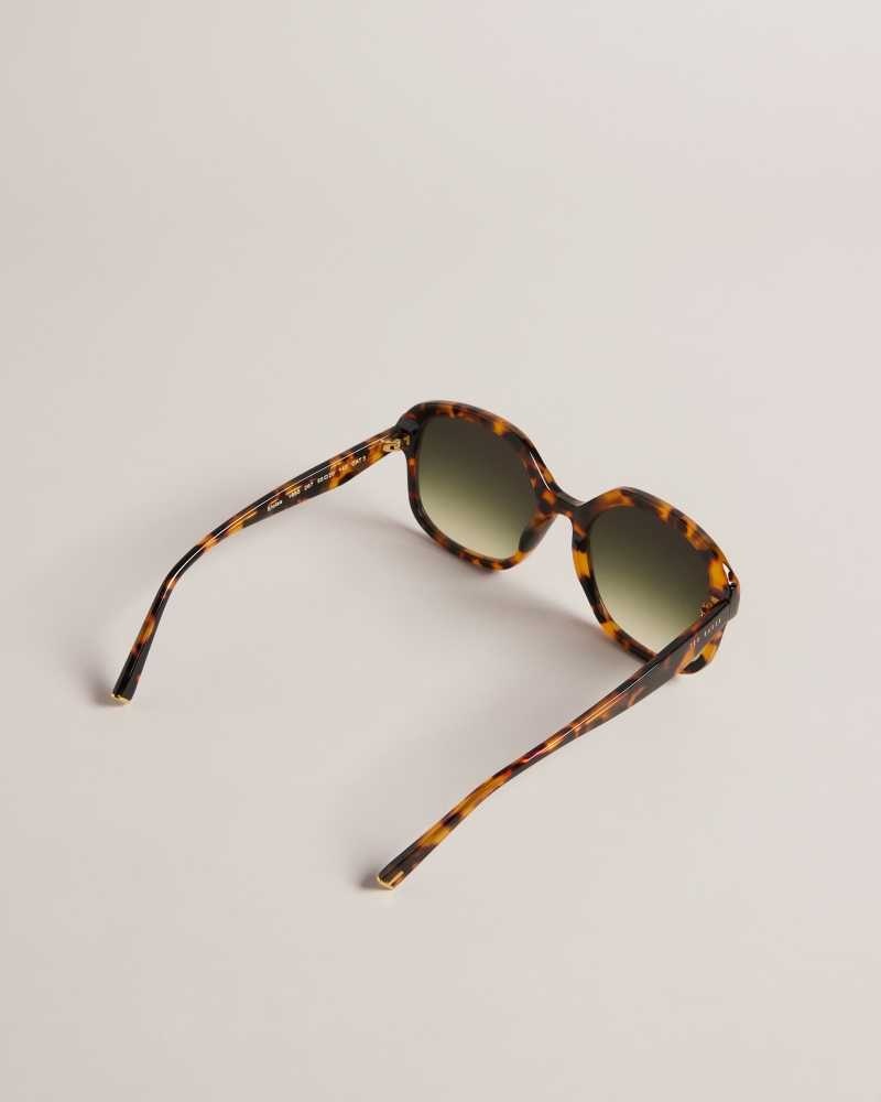 Tortoiseshell Ted Baker Eeloise Square Tortoiseshell Sunglasses | ZA0002126