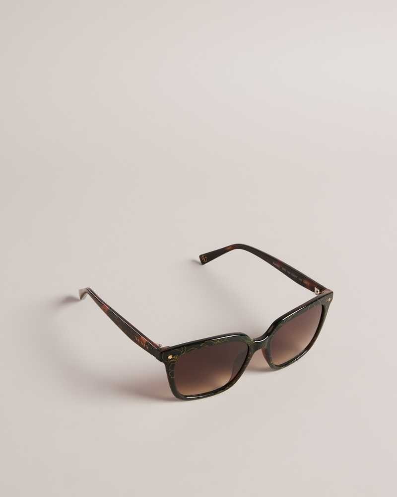 Tortoiseshell Ted Baker Ramonat Classic Square Frame Sunglasses | ZA0002136