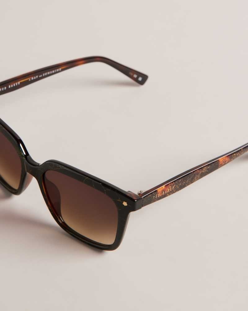 Tortoiseshell Ted Baker Ramonat Classic Square Frame Sunglasses | ZA0002136