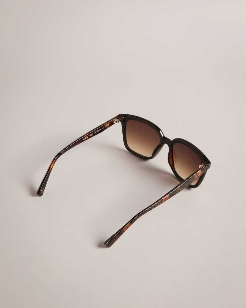 Tortoiseshell Ted Baker Ramonat Classic Square Frame Sunglasses | ZA0002136