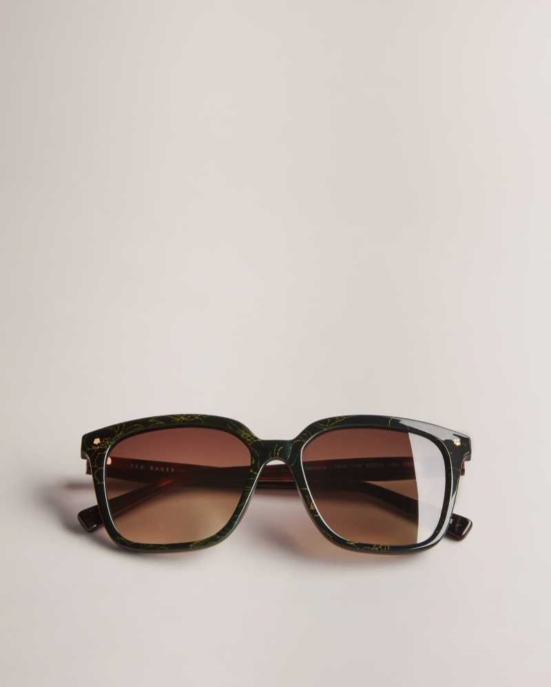 Tortoiseshell Ted Baker Ramonat Classic Square Frame Sunglasses | ZA0002136